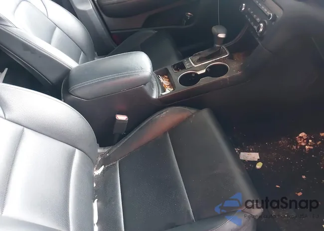 KNDP6CAC9L7767946: 42313119