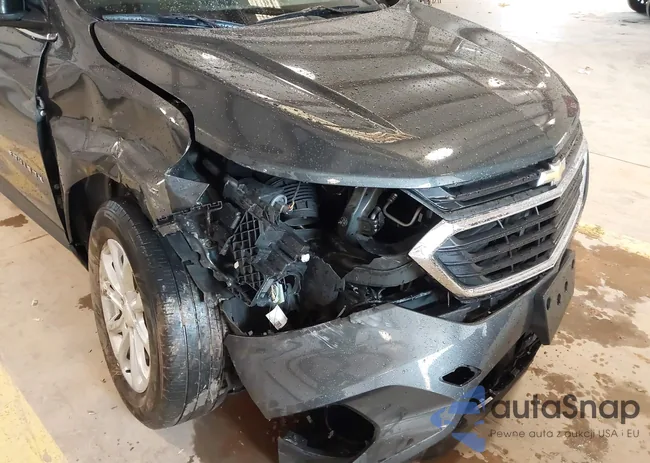 2GNAXUEV1L6172018: 42313987