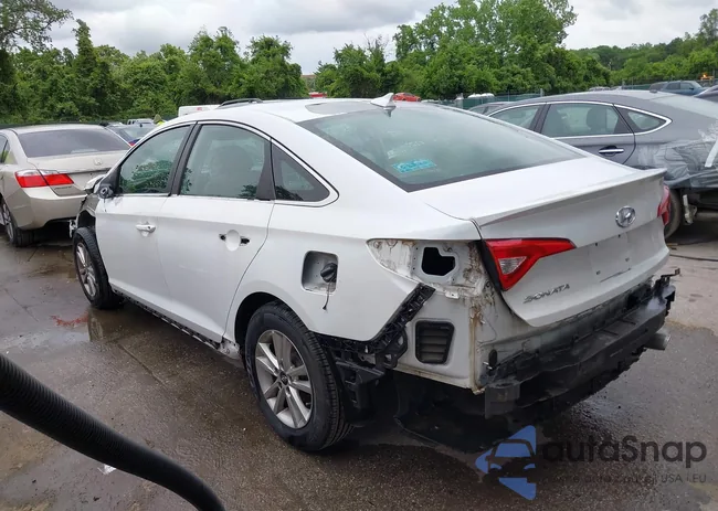 5NPE24AF3HH519181: 42315307