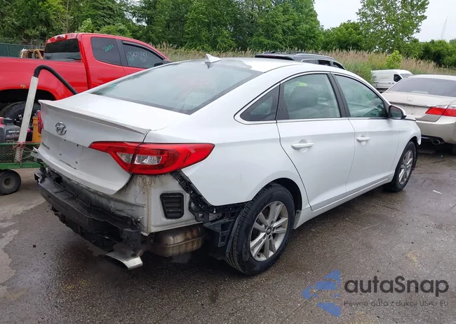 5NPE24AF3HH519181: 42315307