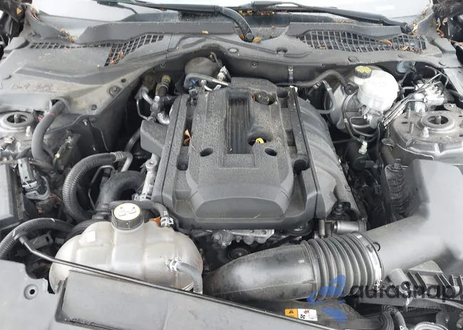 1FA6P8TH2J5127543: 42315337