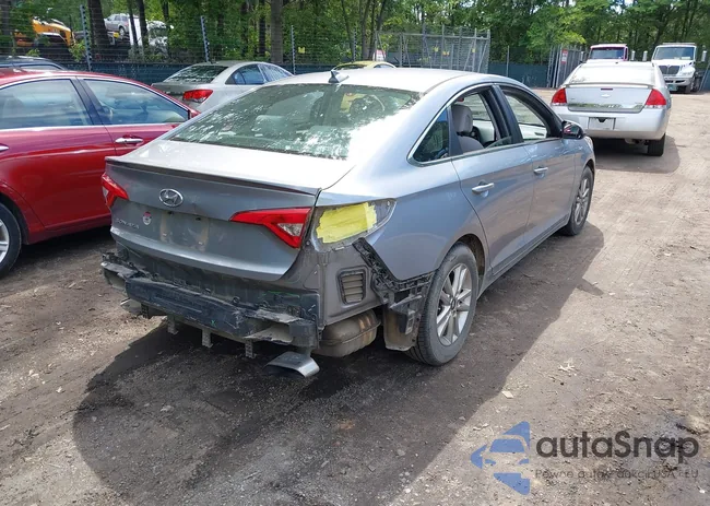 5NPE24AFXHH522966: 42315352