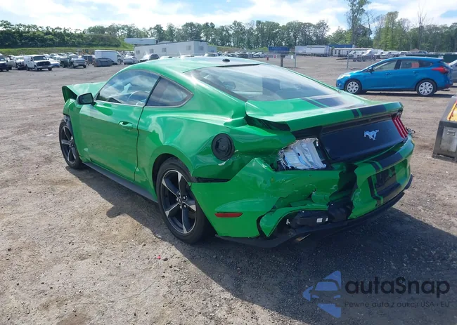 1FA6P8TH6K5198844: 42315513