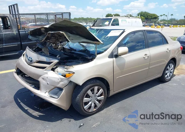 2T1BU4EEXCC770113: 42316506