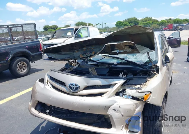 2T1BU4EEXCC770113: 42316506