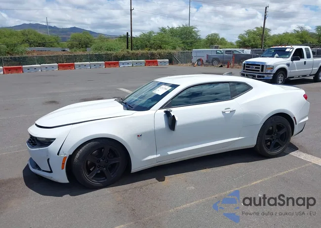 1G1FB1RS1L0110065: 42317385