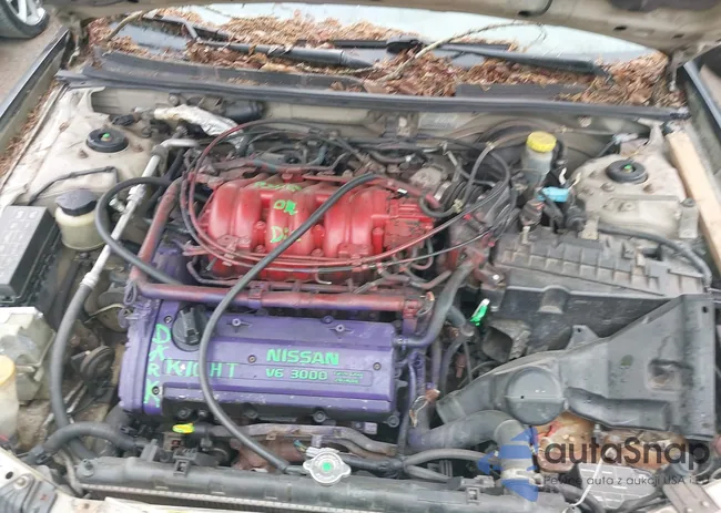 JN1CA31D71T834010: 42317556