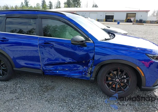 2HKRS6H59RH806438: 42316831