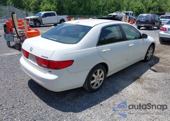 1HGCM66595A071059: 42318510