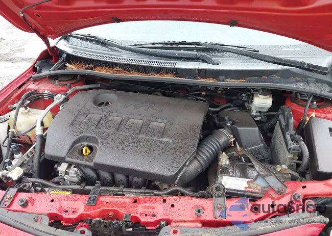 2T1BU4EE7DC944351: 42317905