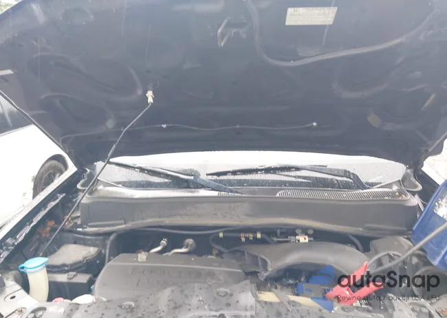 5FNYF4H50BB089307: 42317919