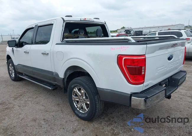 1FTFW1ED7MFB36946: 42318029