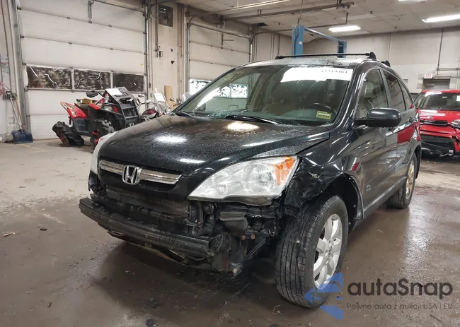 5J6RE48779L031804: 42319461