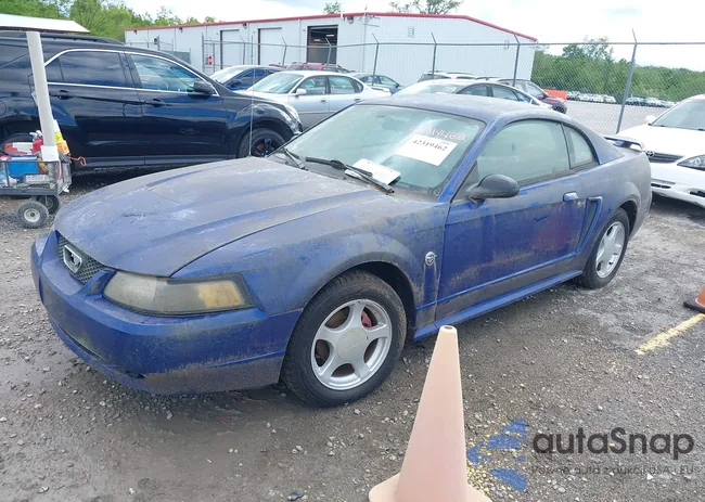 1FAFP40614F239549: 42319462