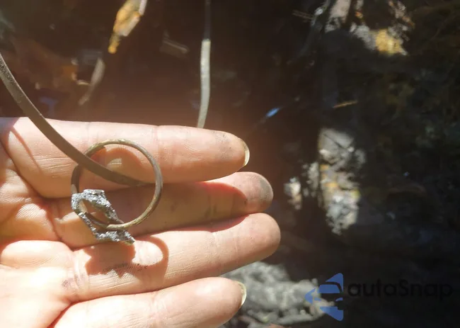 1G1JC5SH9G4109533: 42319538