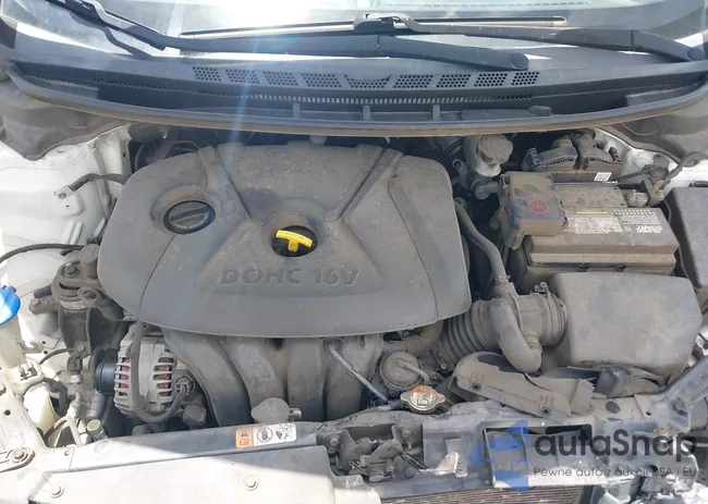 KNAFK4A64G5603669: 42319573