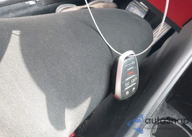 ZARFAMAN8L7638393: 42319675