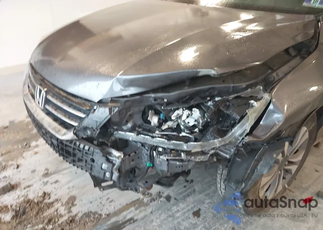 1HGCR2F33DA281146: 42319765