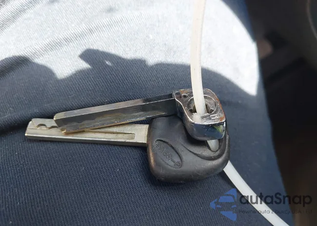 KM8SM4HF7GU138114: 42318907