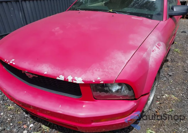 1ZVFT84N455215653: 42318911