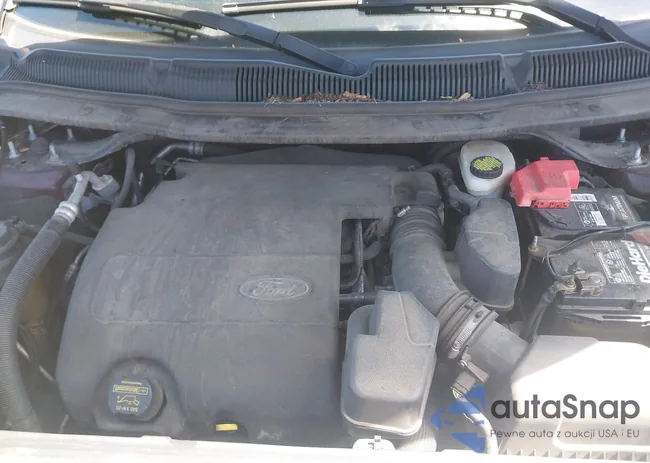 1FMHK8D81BGA63206: 42318986