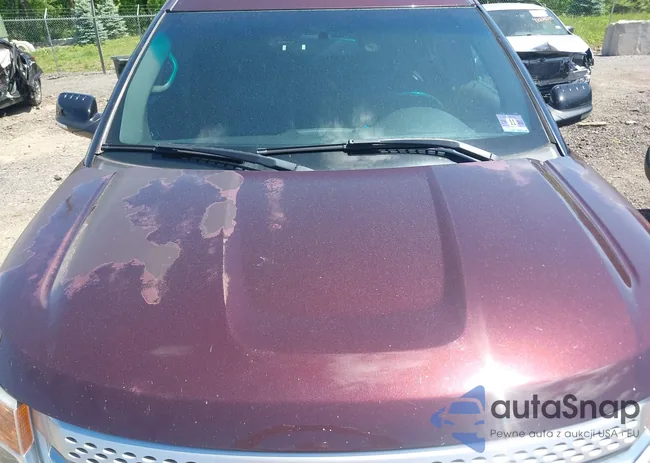 1FMHK8D81BGA63206: 42318986