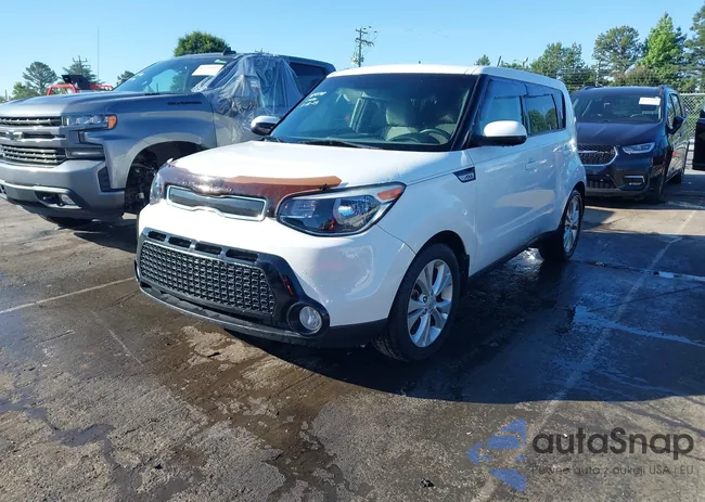 KNDJP3A54G7354570: 42319026