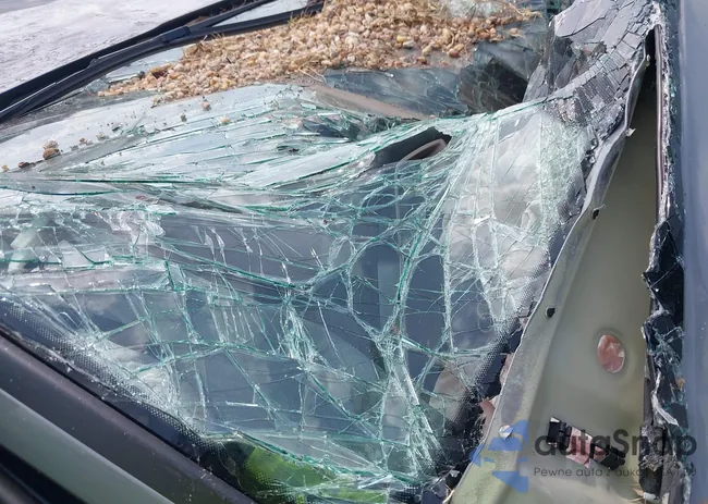 WA12UBFZ8SP023867: 42319808