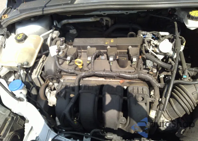 1FADP3J26JL280723: 42319900