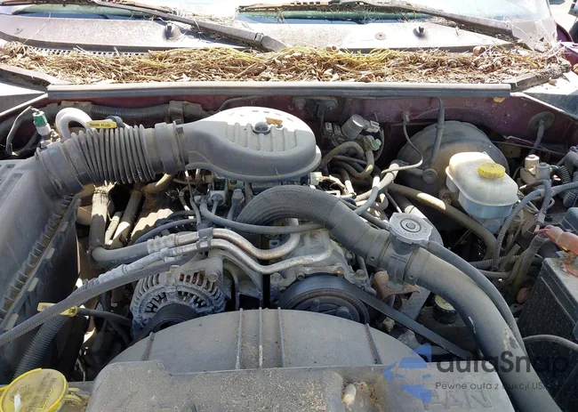 1B7GL22X9YS682436: 42320054