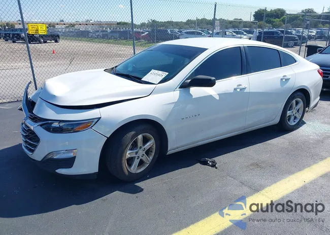 1G1ZB5ST5LF117072: 42321025