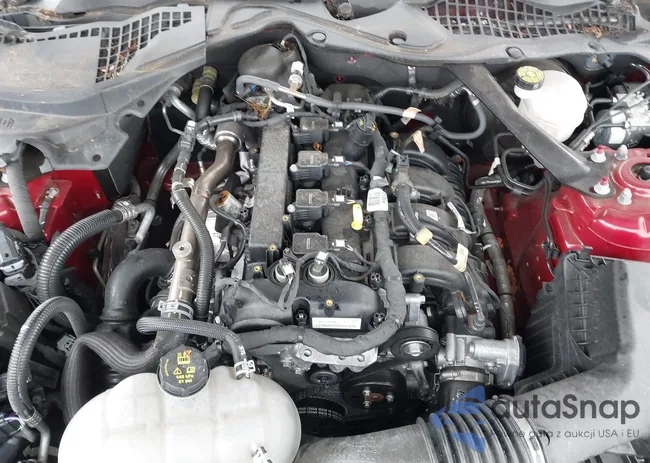 1FATP8UH4M5122897: 42322341