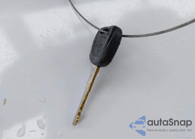 JS3TD943864103101: 42322528