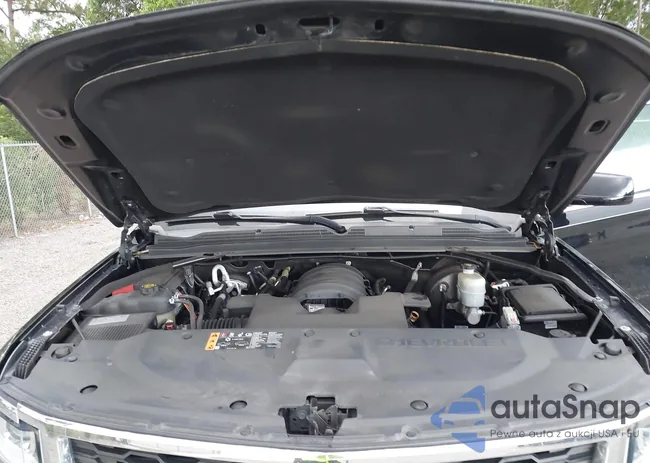 1GNSCBKC1LR182348: 42321890