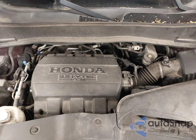 5FNYF4H48BB005466: 42322058