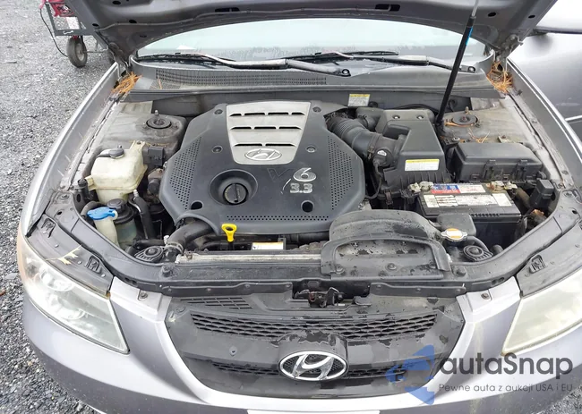 5NPEU46FX6H025674: 42323279