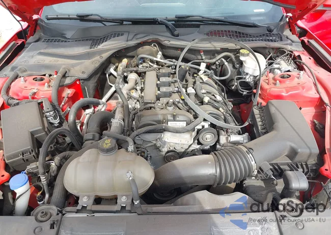 1FA6P8TH4N5130658: 42324270