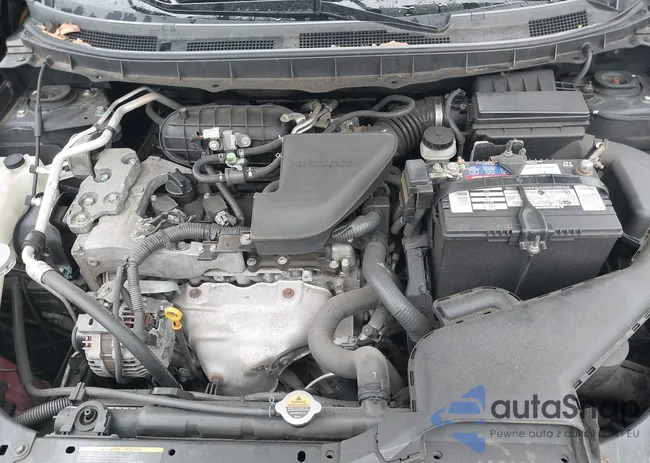 JN8AS58V59W445280: 42324479