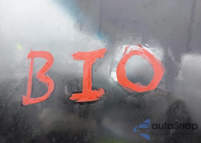 1FTDE14Y4LHA18080: 42324693