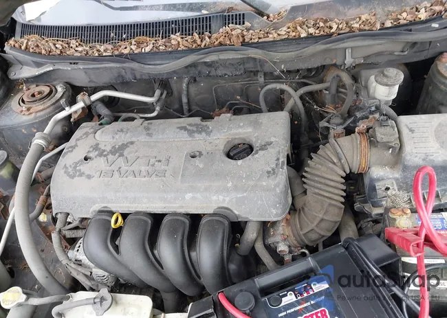 5Y2SL65866Z426720: 42323800