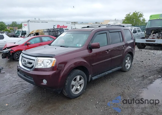 5FNYF48509B050002: 42325359