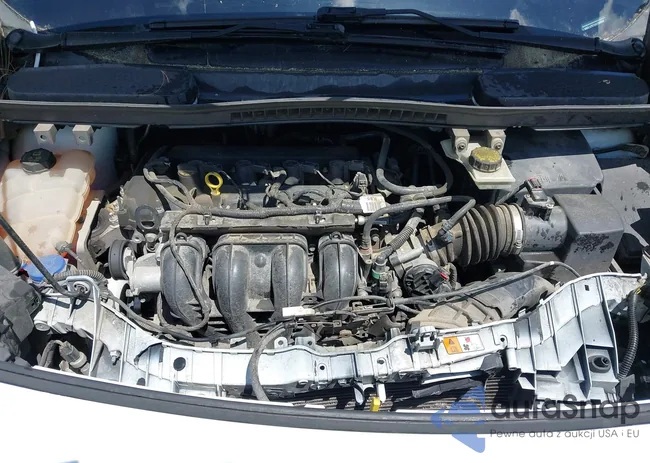 NM0LS7E72G1289809: 42326704