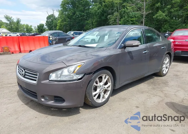 1N4AA5AP3DC809223: 42329297