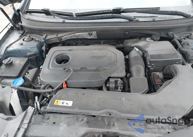 5NPE24AF4GH294557: 42329388