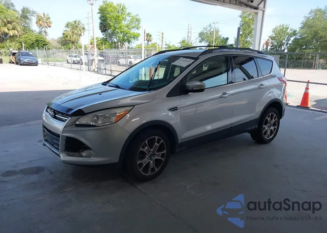 1FMCU9H99DUB29583: 42329668