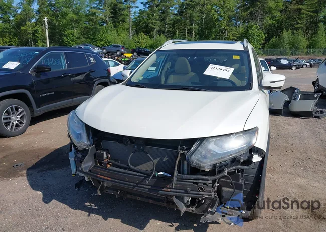 5N1AT2MV2GC876344: 42330493