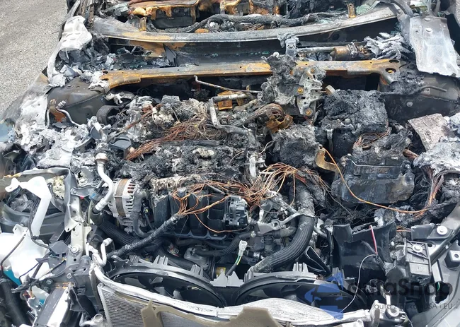 1N4BL4BV9PN347300: 42331513