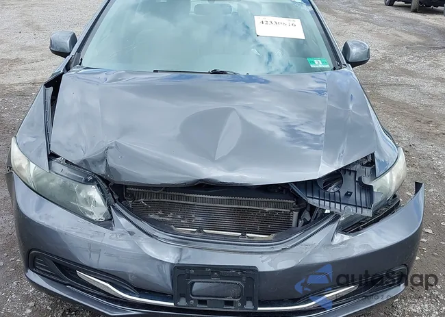 2HGFB2F86DH517285: 42330816