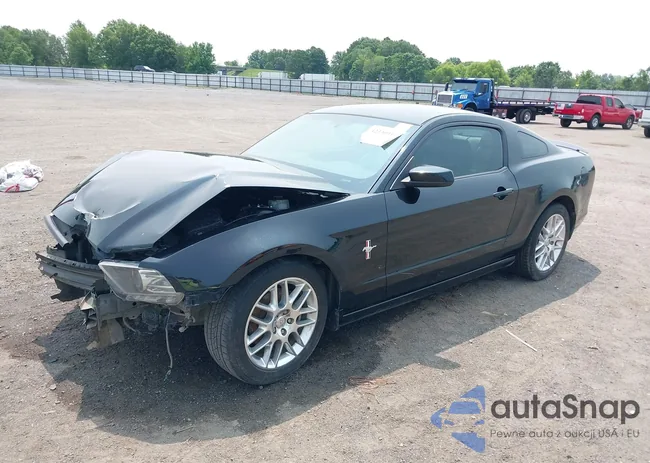 1ZVBP8AM6E5334545: 42330933