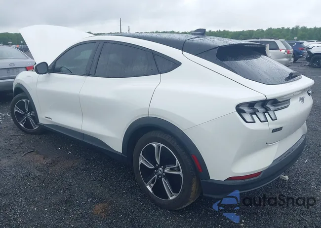 3FMTK1SS1MMA57172: 42331019